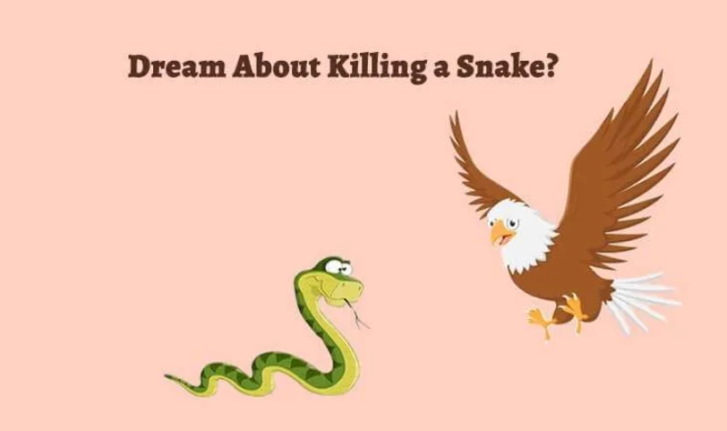 snake dream symbolism snake dream symbolism