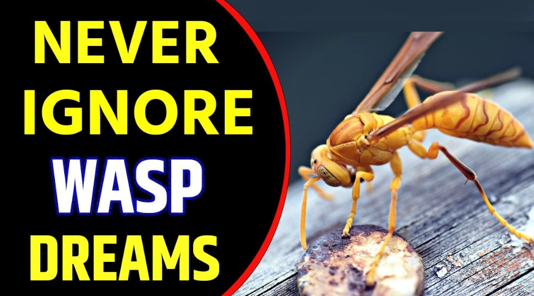 wasp sting dream interpretation wasp sting dream interpretation