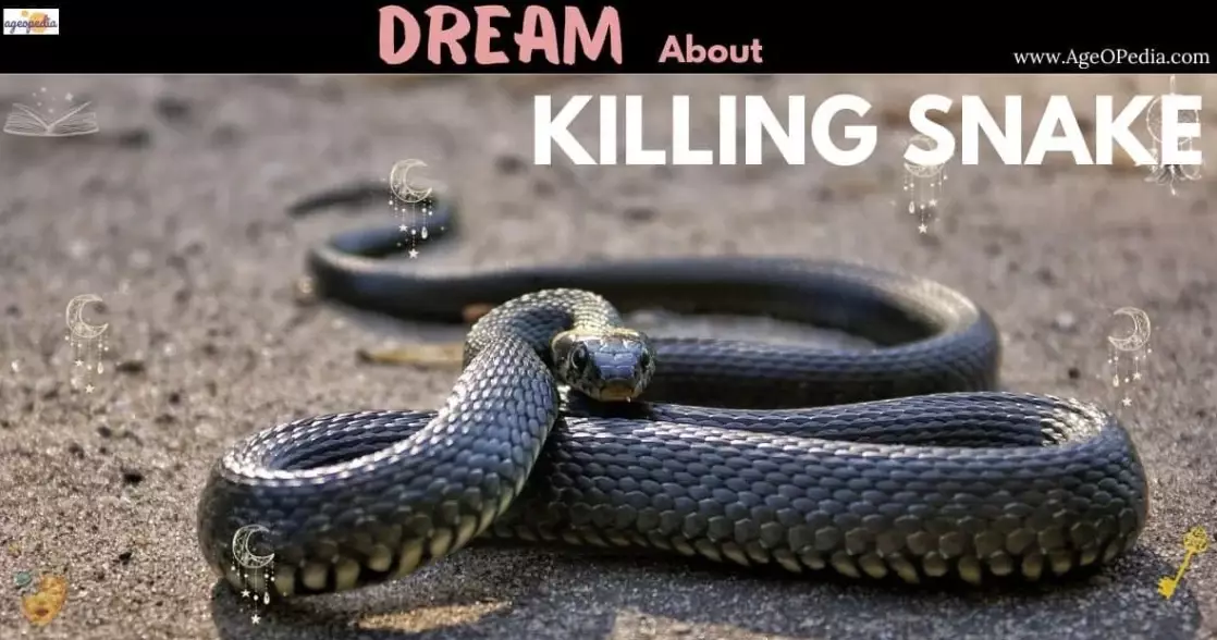 killing a snake dream