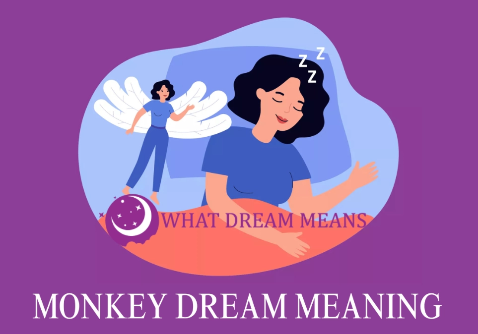 monkey symbolism dream