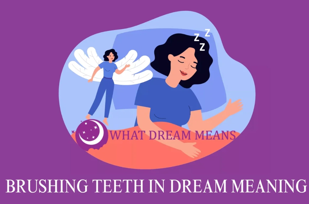 dream interpretation dream interpretation
