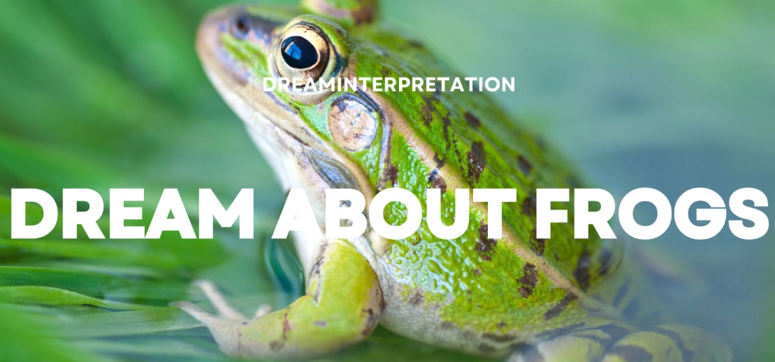 dream interpretation frogs