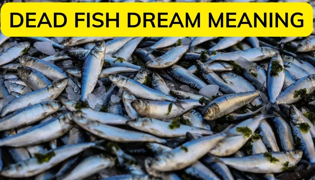 Dying Fish Dream Meaning: 7 Symbolic Interpretations