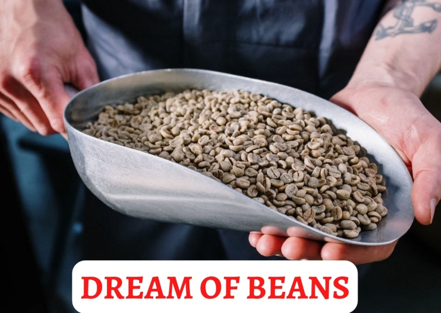 bean dream meaning