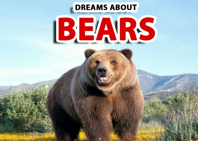bears dream meaning